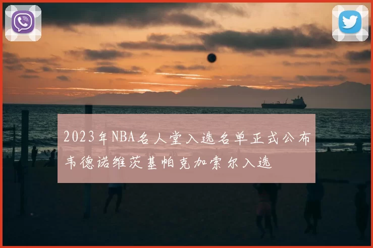 2023年NBA名人堂入选名单正式公布韦德诺维茨基帕克加索尔入选